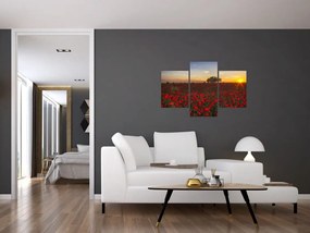 Tablou cu lunca și macii (90x60 cm)
