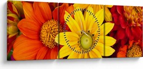 Tablou cu floare (cu ceas) (90x30 cm)