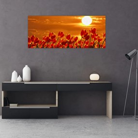 Tablou - lan înflorit de lalele (120x50 cm)