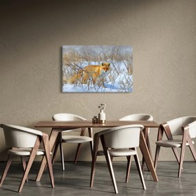 Tablou - Vulpe (90x60 cm)