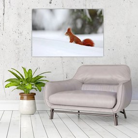 Tablou - Vevetițe (90x60 cm)