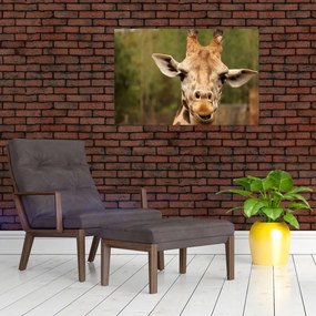Tablou girafe (90x60 cm)