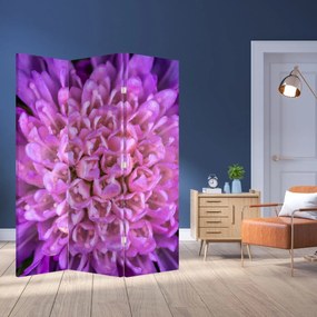 Paravan - Floare detailat (126x170 cm)