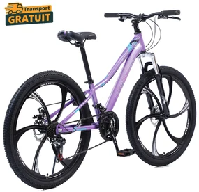 Bicicleta Caraiman, roti 24 sau 26 inch, cadru otel, frane pe disc, galben, BC27