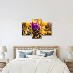 Tablou cu floare violetă (90x60 cm)