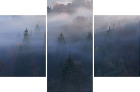 Tablou - Pădure în ceță, Carpați, Ucraina (90x60 cm)