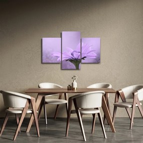 Tablou - Flori mov (90x60 cm)