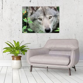 Tablou - Portret de lup (70x50 cm)