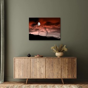 Tablou - Luna luminează noaptea (70x50 cm)