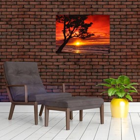 Tablou - Apus de soare (70x50 cm)