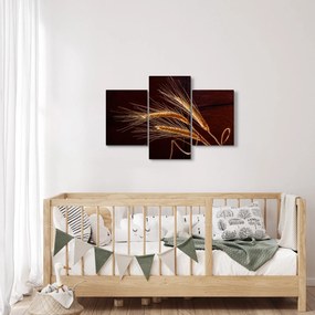 Tablou - Spic în prim plan (90x60 cm)