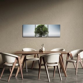 Tablou - Copacul singuratic (cu ceas) (90x30 cm)