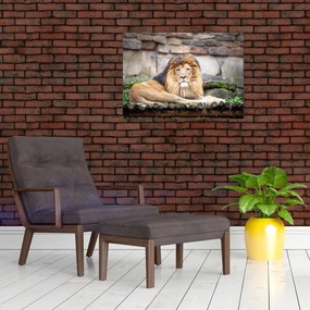 Tablou cu leu (70x50 cm)