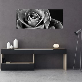 Tablou - Trandafir,alb-negru (120x50 cm)