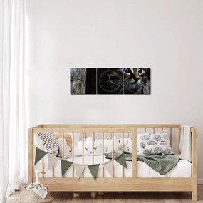 Tablou cu pisicuța (cu ceas) (90x30 cm)