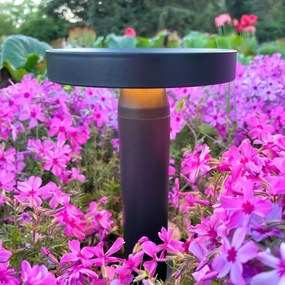 Lampă LED solară Zuma Line DT33611 CARLI LED/2W/2000 mAh IP44 negru