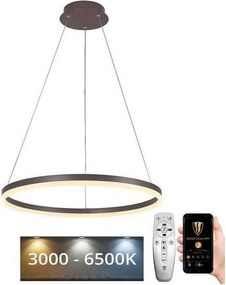 Brilagi - Lustră LED dimabilă pe cablu CIRCLE LED/42W/230V 3000-6500K maro+telecomandă