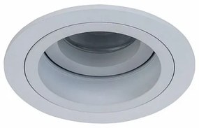 Spot incastrabil de tavan/plafon directionabil 30° Akron MYDL025-2-01W