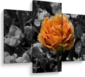 Tablou cu floare (90x60 cm)