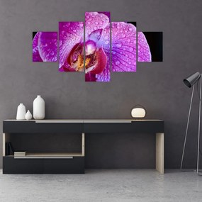 Tablou detailat cu floare de orhidee (125x70 cm), în 40 de alte dimensiuni noi