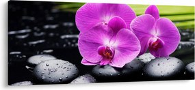 Tablou - Orhidee (120x50 cm)