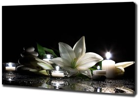 Print pe canvas Crin alb