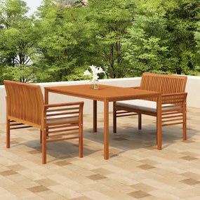 3120457 vidaXL Set mobilier de exterior cu perne, 3 piese, lemn masiv acacia