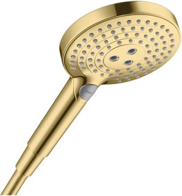 Para de dus Hansgrohe Raindance Select S 120 auriu lucios 3 functii