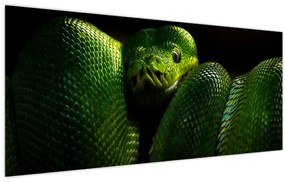 Tablou - Șarpele verde (120x50 cm)