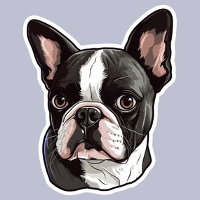 PIPPER. Autocolant Boston Terrier mărimea: 60cm