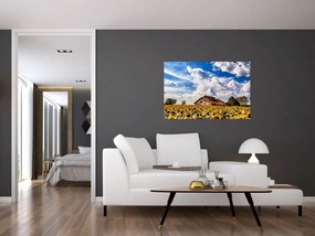 Tablou cu câmp de floarea soarelui (90x60 cm)