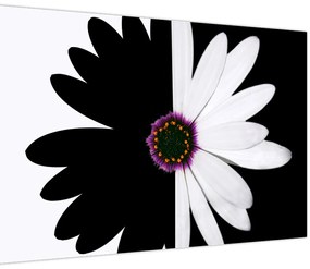 Tablou - Floare, alb- negru (90x60 cm)