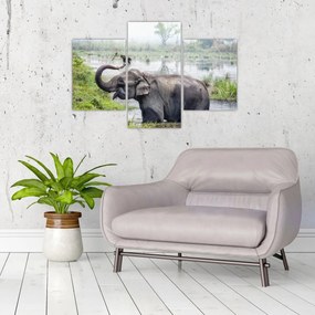 Tablou - Elefant de scăldat (90x60 cm)