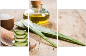 Tablou - Aloe vera (90x60 cm)