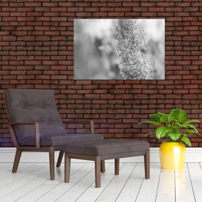 Tablou - Iarbă de pampas Boho (90x60 cm)