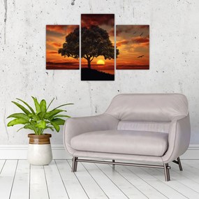 Tablou cu pomi și apus de soare (90x60 cm)