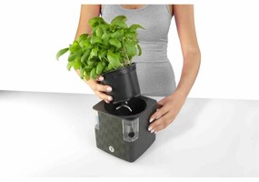 Jardinieră inteligentă Flower Lover Cobble,, pentru ierburi, antracit, 14 cm