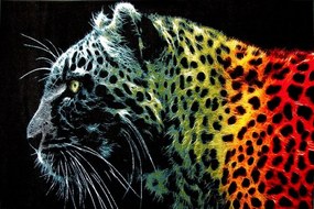 Covor Modern Kolibri Black Leopard 11016