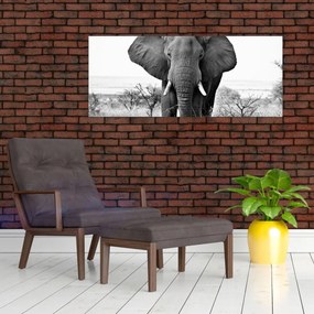 Tablou - Elefantul african II. (120x50 cm)