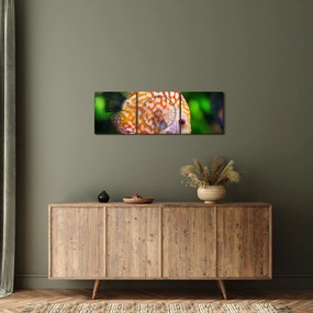Tablou cu pește (cu ceas) (90x30 cm)