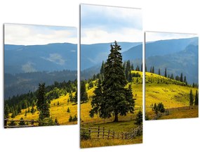 Tablou - Lunca de munte (90x60 cm)