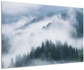 Tablou - Copacii în ceață (90x60 cm)