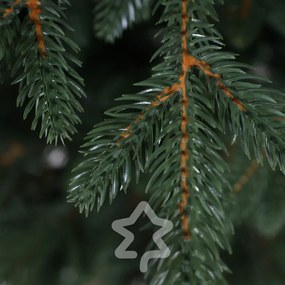 Molid Canadian 100 % 150 cm