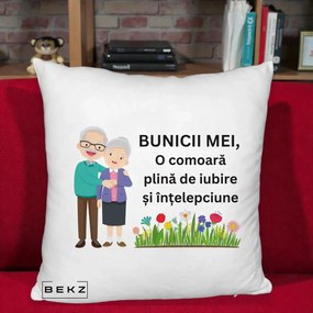 Cadou pentru Bunici - Perna Personalizata Bunicii Mei Comoara Cuplu Senior cu Flori Colorat, 40x40 cm, Alb Pufos, Husa Detasabila, Perna Inclusa, BEKZ®
