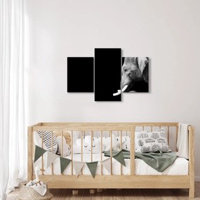 Tablou - Elefant (90x60 cm)
