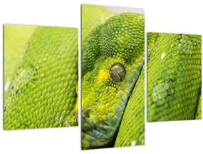 Tablou cu șarpe (90x60 cm)