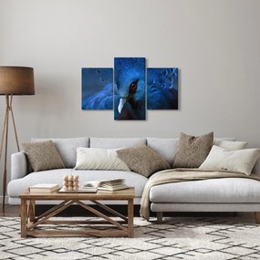 Tablou - Porumbel încoronat (90x60 cm)