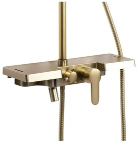 REA-P4121 - Set de duș BRAVO cu baterie, finisaj auriu periat