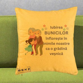 Cadou pentru Bunici - Perna Personalizata Bunicii Iubirea Infloreste Bunici cu Nepoata Colorat, 40x40 cm, Galben, Husa Detasabila, Perna Inclusa, BEKZ®
