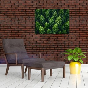 Tablou - Pădure (70x50 cm)